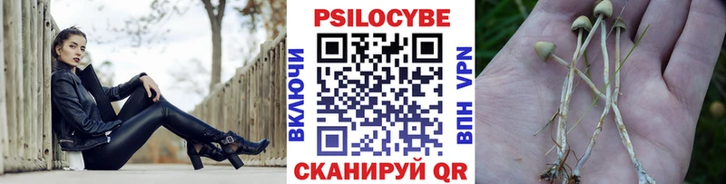 где можно купить наркотик  Городец  Псилоцибиновые грибы ЛСД 